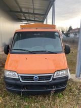 Fiat Ducato 244 D - Fiat Ducato aus 2004