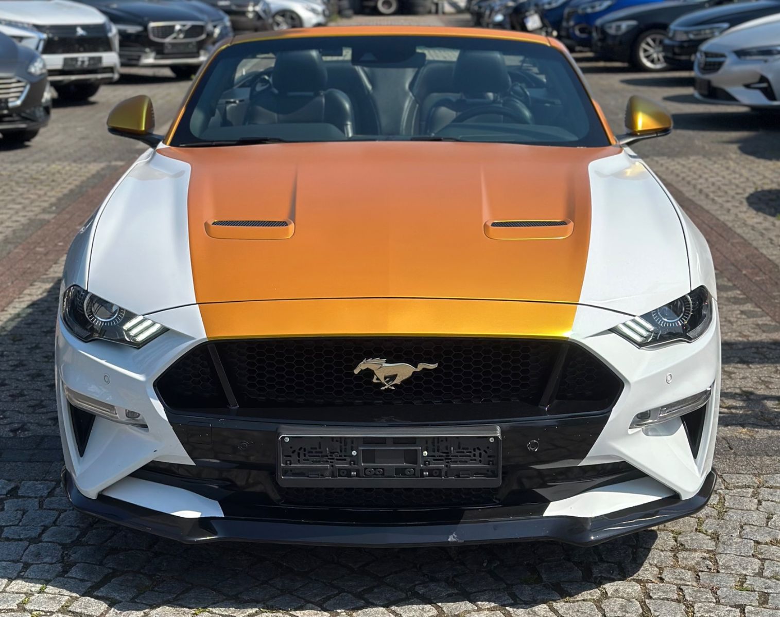 Ford MUSTANG GT*UNIKAT V8*CARBON-DIGITAL-ACC-NAVI-SBL imagem 3