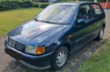 Volkswagen VW Polo 6N, 50.000 km, 2. Hand, H-Kennzeic... - gebrauchte VW Polo aus dem Jahr 1995