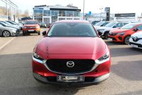 Mazda CX-30 - Vorschau Bild 8