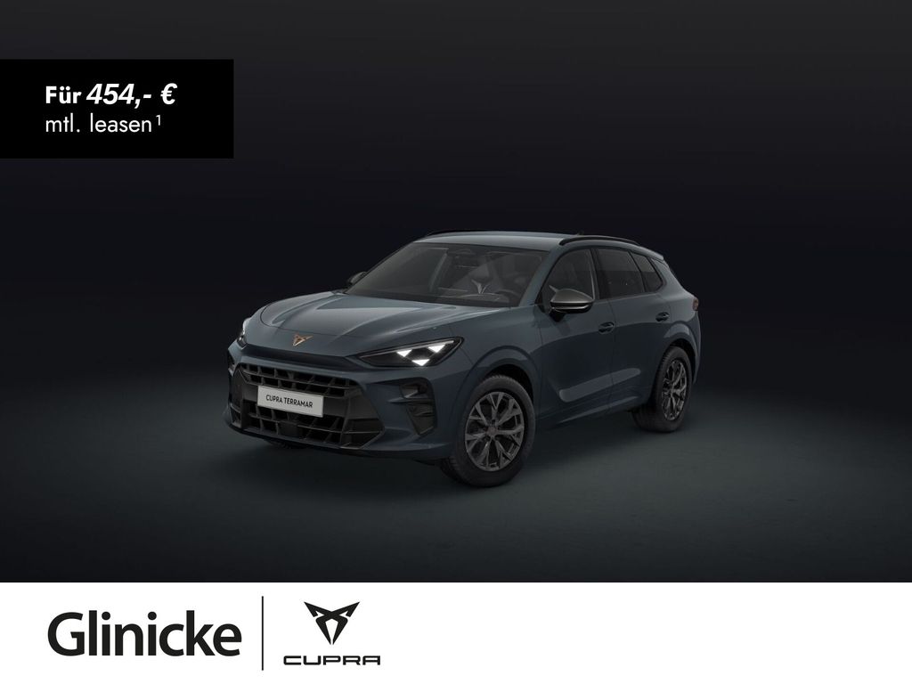 Terramar 1.5 eTSI DSG Matrix Edge