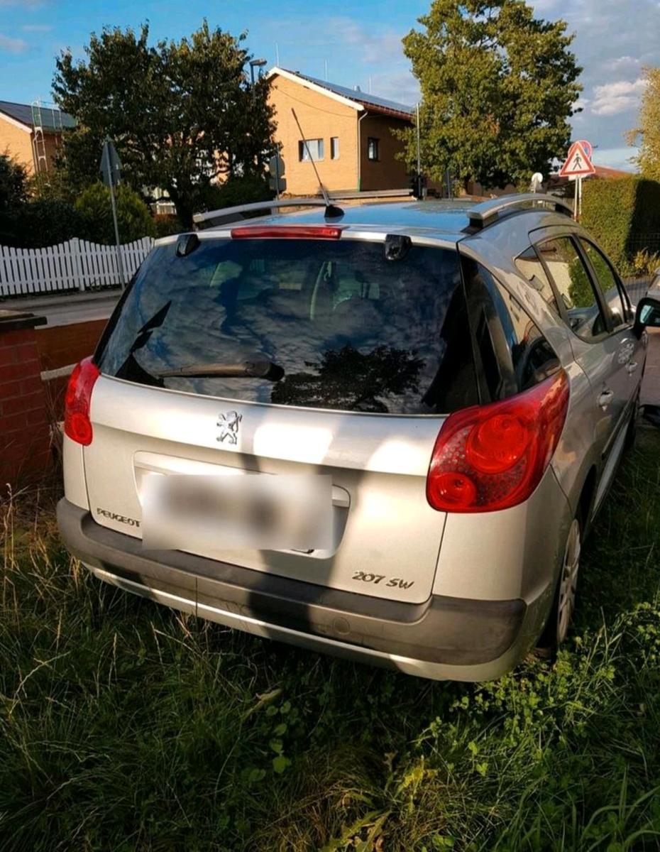 Peugeot 207 2008 — rear view