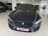 Jaguar XF 20d Aut. Chequered Flag - Jaguar Gebrauchtwagen