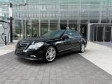 Mercedes-Benz E 500 AVANTGARDE TÜV NEU LUFTF. AMG BI XENON   - Mercedes-Benz Gebrauchtwagen von 2010