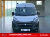 Chausson V 594 First Line - 1.Hand - Sehr gepflegt - - Chausson Kastenwagen