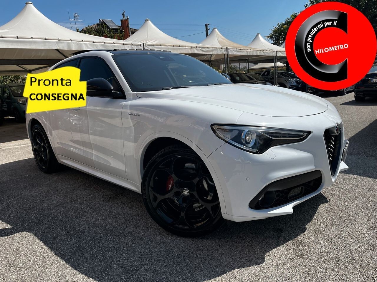 Alfa Romeo Stelvio 2.2 210CV Q4 Veloce TETTO