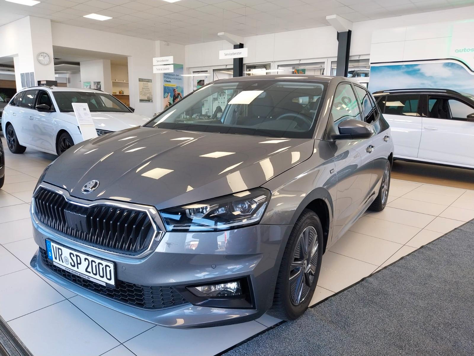 Skoda Fabia Drive Navi Lenkradhzg Rückfahrkamera