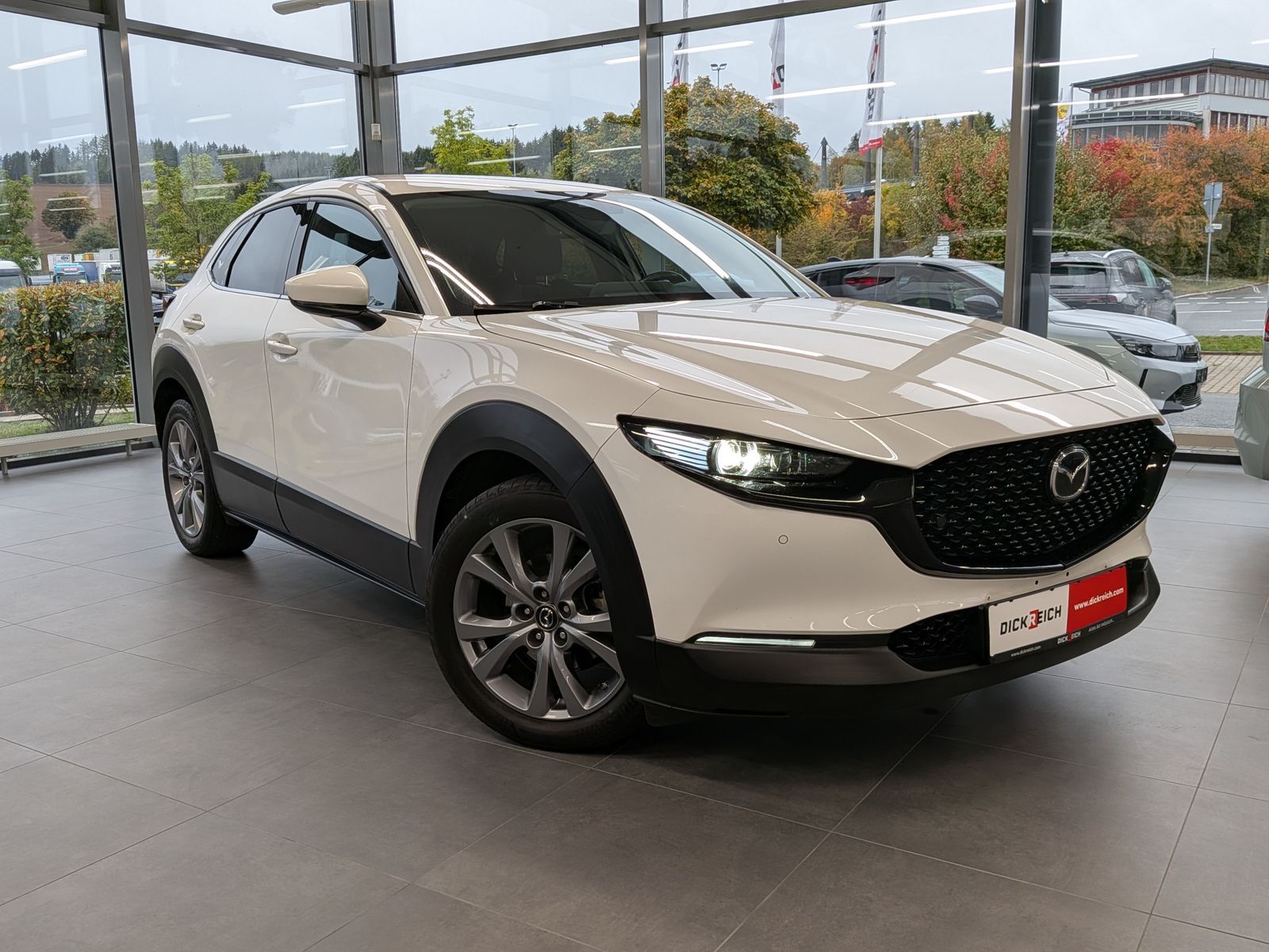 Fahrzeugabbildung Mazda CX-30 Selection 2WD LED Design ACC BOSE HUD CAM