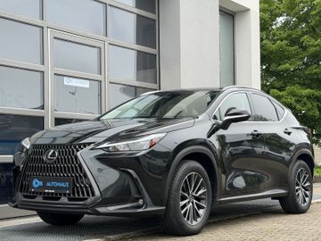 Lexus NX 350h - 1