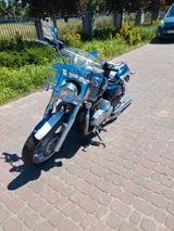 Triumph THUNDERBIRD 1600  / damaged/ unfall - TRIUMPH 1600