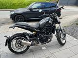 Benelli Leoncino 500 Trail  *Neuer TÜV* - BENELLI LEONCINO 500 TRAIL