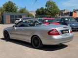Mercedes-Benz Cabrio CLK 200 Kompressor HU/Klima/Vollleder - gebrauchte Mercedes-Benz CLK 200 aus dem Jahr 2004