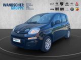 Fiat Panda MY25-Panda Hybrid 1.0 PDC KLIMA ZV - Fiat Panda New cars mit Benzin-Antrieb: Kleinwagen