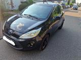 Ford Ka/Ka+ 1,2 Titanium Titanium - Ford Ka/Ka+ in Köln
