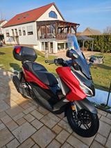 Honda FORZA 125 Pearl-Sienna-Red, "WIE NEU", wenig km