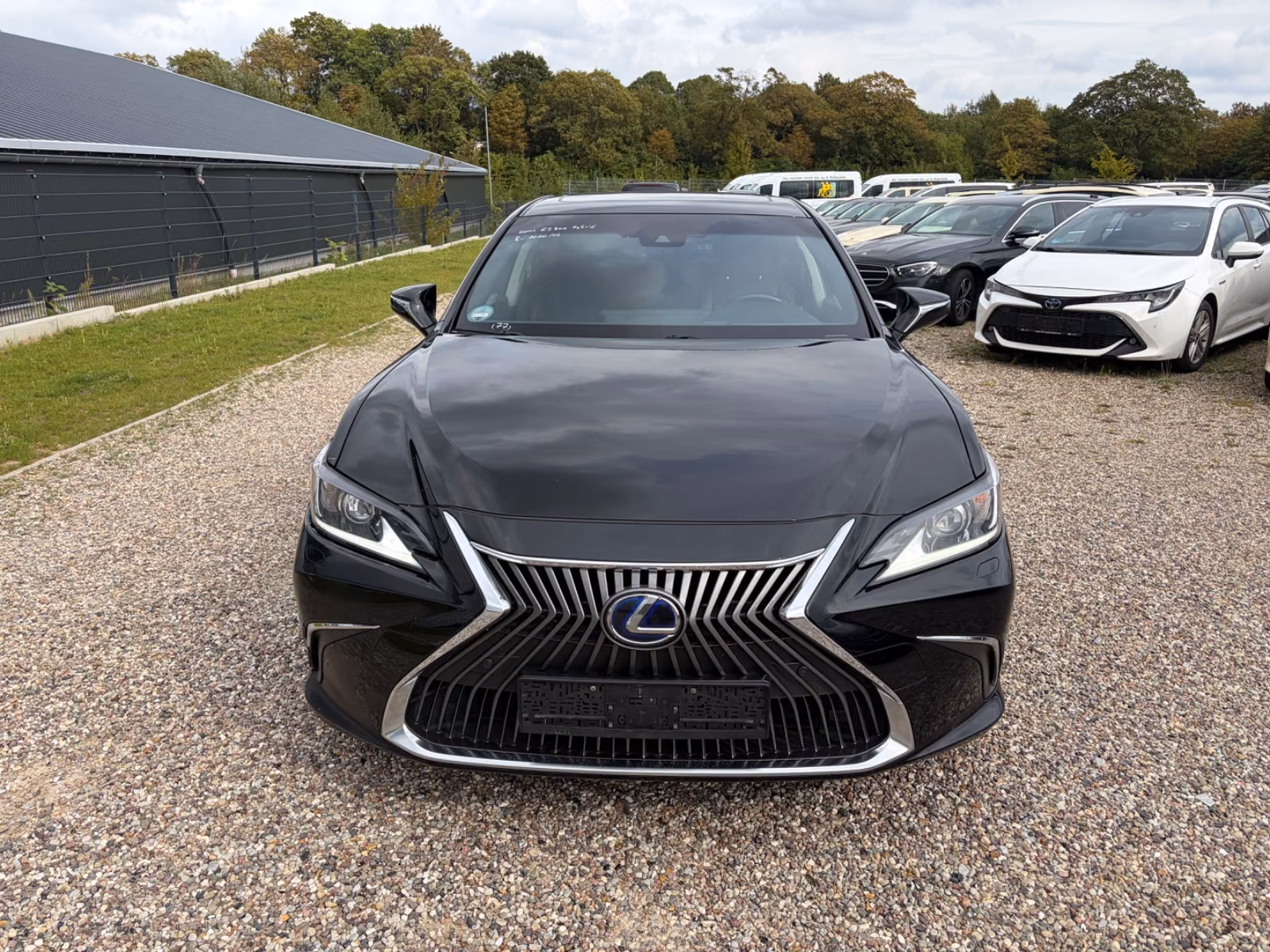 Lexus ES 300 300h Executive Line Automatik