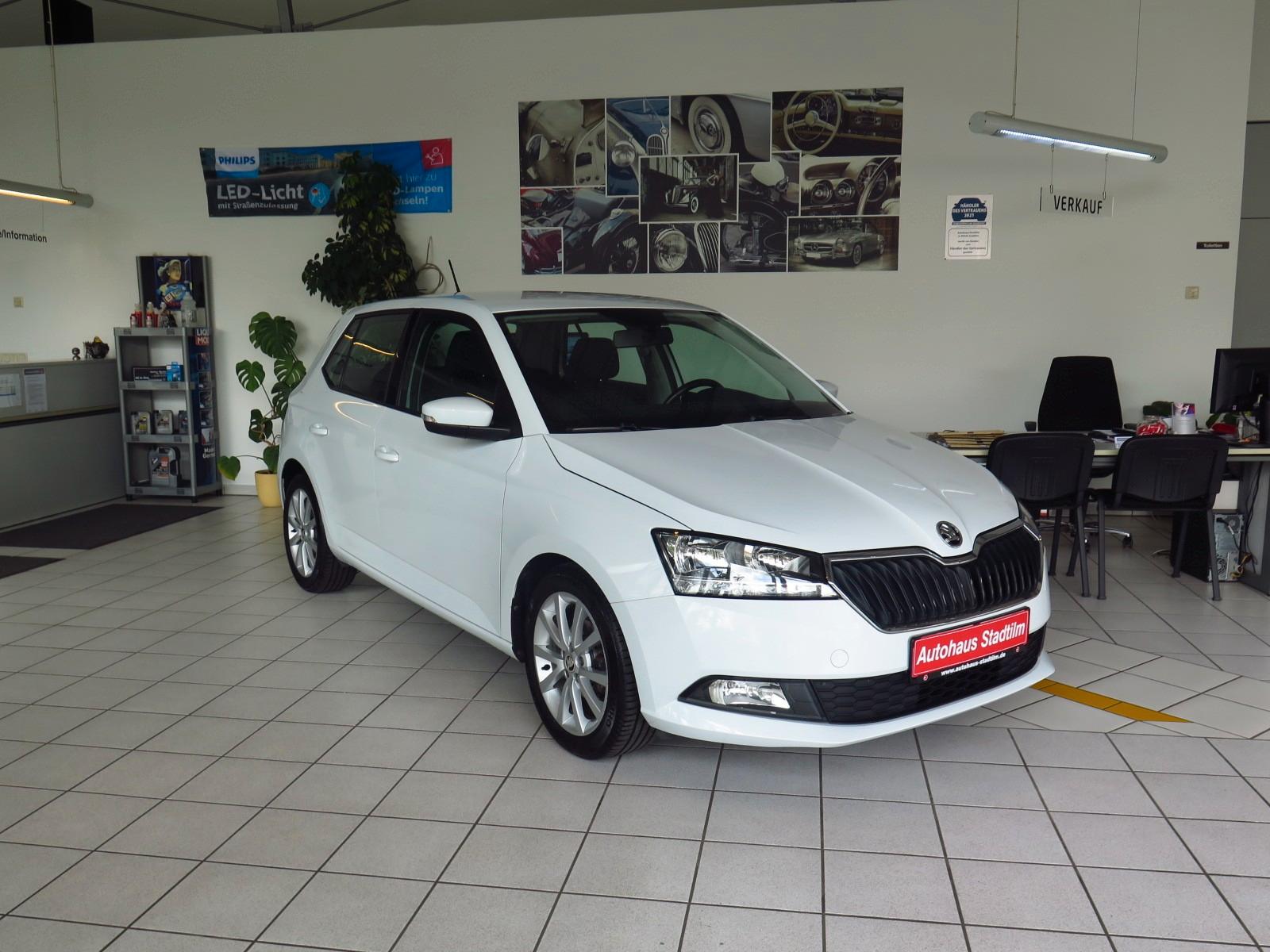 Skoda FABIA 1.0 TSI COOL PLUS *BT*DAB*PDC*SITZHZG*