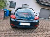 Volkswagen NEW BEETLE, TOP GEPFLEGT, TÜV BIS NOV. 2026 - VW New Beetle von privat