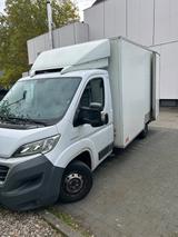 Fiat Ducato - Fiat Ducato Gebrauchtwagen in Frankfurt