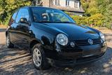 Volkswagen VW Lupo College,TÜV neu,58tkm - Volkswagen Lupo in Bremen