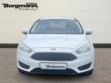 Ford Focus Ambiente 1.0 EcoBoost Ambientebeleuchtung  - Ford Focus: Ambiente