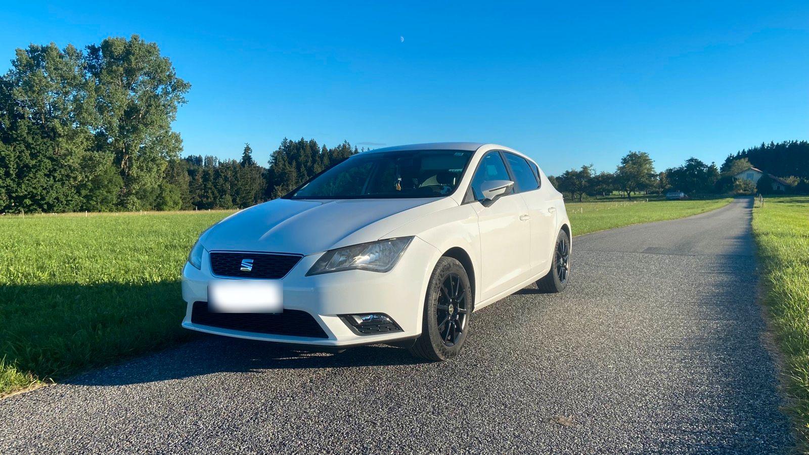 Seat Leon 2014 — вигляд ззаду