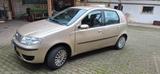 Fiat FIAT Punto - gebrauchte Fiat Punto aus dem Jahr 2008