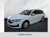 Skoda Octavia Combi 1.5 TSI Essence DSG AHK Smart Link - Skoda Octavia Jahreswagen