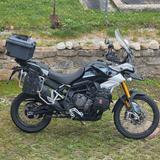 Triumph Tiger 900 Rally Pro - reisefertig - Triumph Tiger 900 Rally Pro