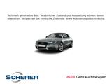 Audi A5 Cabriolet 2.0 TDI clean diesel  140(190) kW(P - Audi A5 mit Diesel-Antrieb: Cabrio, Automatik
