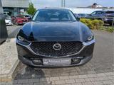 Mazda CX-30 Selection HUD Navi Memory Sitze Soundsyste - Mazda CX-30 Gebrauchtwagen in Köln