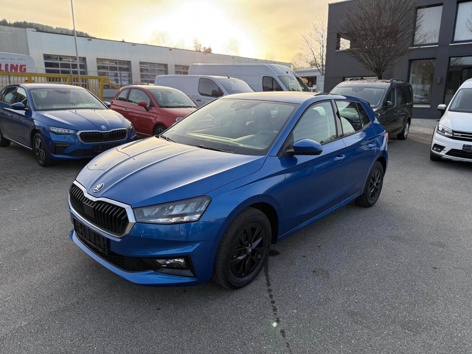 Skoda Fabia 1.0 TSI 130 Jahre *KAMERA*SMARTLINK*