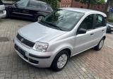 Fiat Panda 1.1 8V - Fiat Panda in Hamm