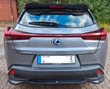 Lexus UX 250h Executive Line Garantie Tuning  - Lexus UX aus 2019