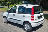 Fiat Panda 1.4 8V Natural Power, - gebrauchte Fiat Panda aus dem Jahr 2011