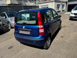 Fiat Panda 1.2 8V Dynamic KLIMA-BENZIN&LPG-8xBEREIFT - Fiat Panda mit LPG-Antrieb