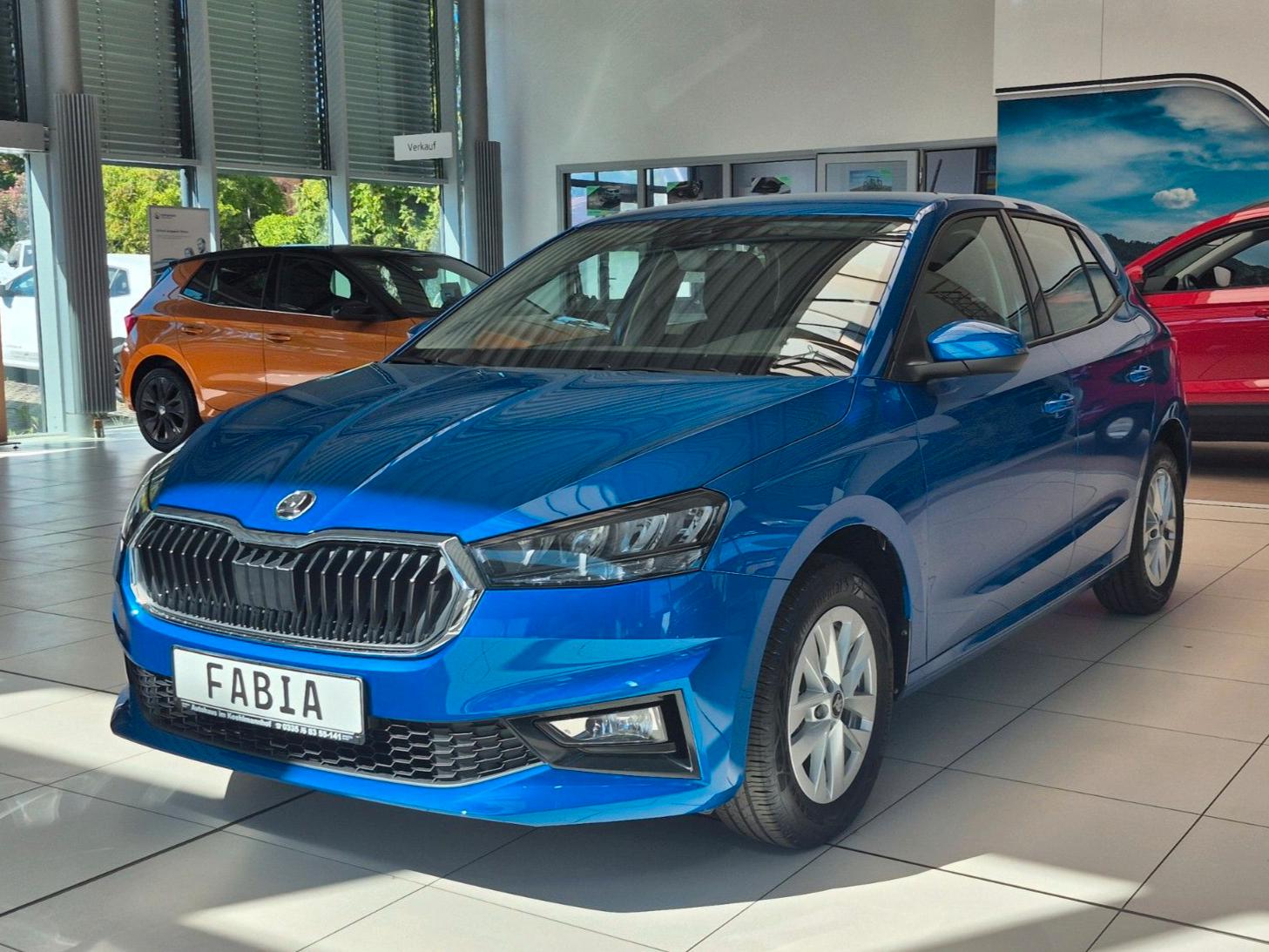 Skoda Fabia 1.0 TSI Selection *5 Jahre Garantie*