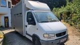 Opel Movano 2 Pferdetransporter - Tier- & Pferdetransport für 2 Pferde