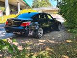 BMW 530i Edition Sport Edition Sport - BMW 530 aus 2009: 530i