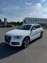 Audi SQ5 3.0 TDI quattro Tiptronic|AHK|21-Zoll| 1Hand - gebrauchte Audi SQ5 aus dem Jahr 2013