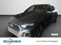 Audi SQ5 - Vorschau Bild 1