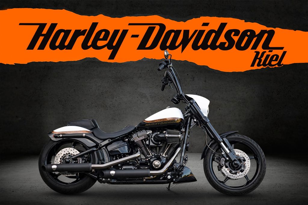 Harley-Davidson CVO PRO STREET 110 cui FXSE - PENZL-KLAPPE