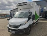 Iveco Daily 70C18 HA/8P *Kühlkoffer Thermo King T-600R - Offers