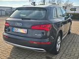 Audi Q5 2.0 TDI 140kW S tronic quattro - - Audi Q5 Gebrauchtwagen in Braunschweig