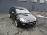 Fiat Punto 1.2 8V Benzin LPG Gas Klima 5 Türig - Fiat Punto in Frankfurt (Main)