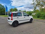 Fiat Panda II (169) 1.2L 8V (69 PS) 2012 DYNAMIC - Fiat Unfallwagen