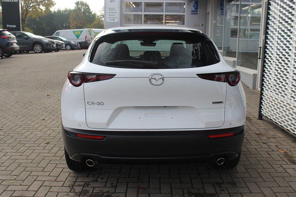 Fahrzeugabbildung Mazda CX-30 M-Hybrid Selection G-150 LEDER-S PRE-P DES