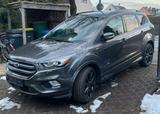 Ford Kuga 2,0 TDCi 4x4 110kW ST-Line PowerShift S... - Ford Kuga von privat