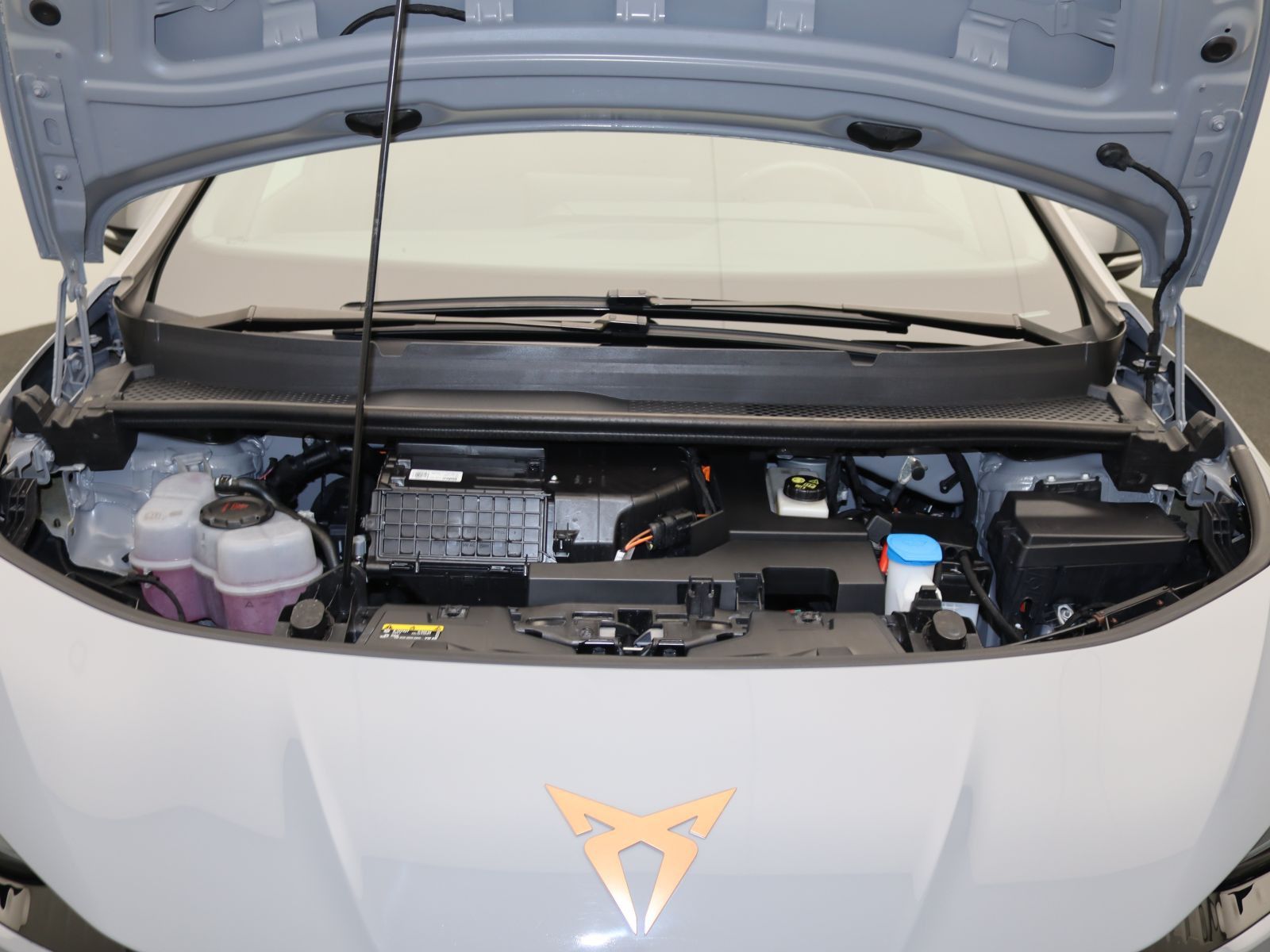 Cupra Born - Bild 17