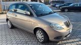 Lancia Ypsilon 3 Porte Ypsilon 1.2 8v Platino - Lancia Ypsilon: Platino